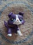 lps littlest pet shop 1676 collie