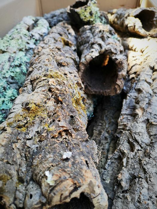 Tuby korkowe średnica 14-25 cm długość 10-65 cm - kilogram