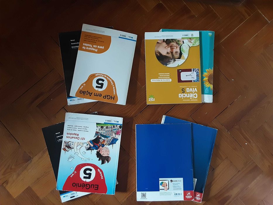 Manuais Escolares e Cadernos de Atividades - 5º Ano - 5€/cada!