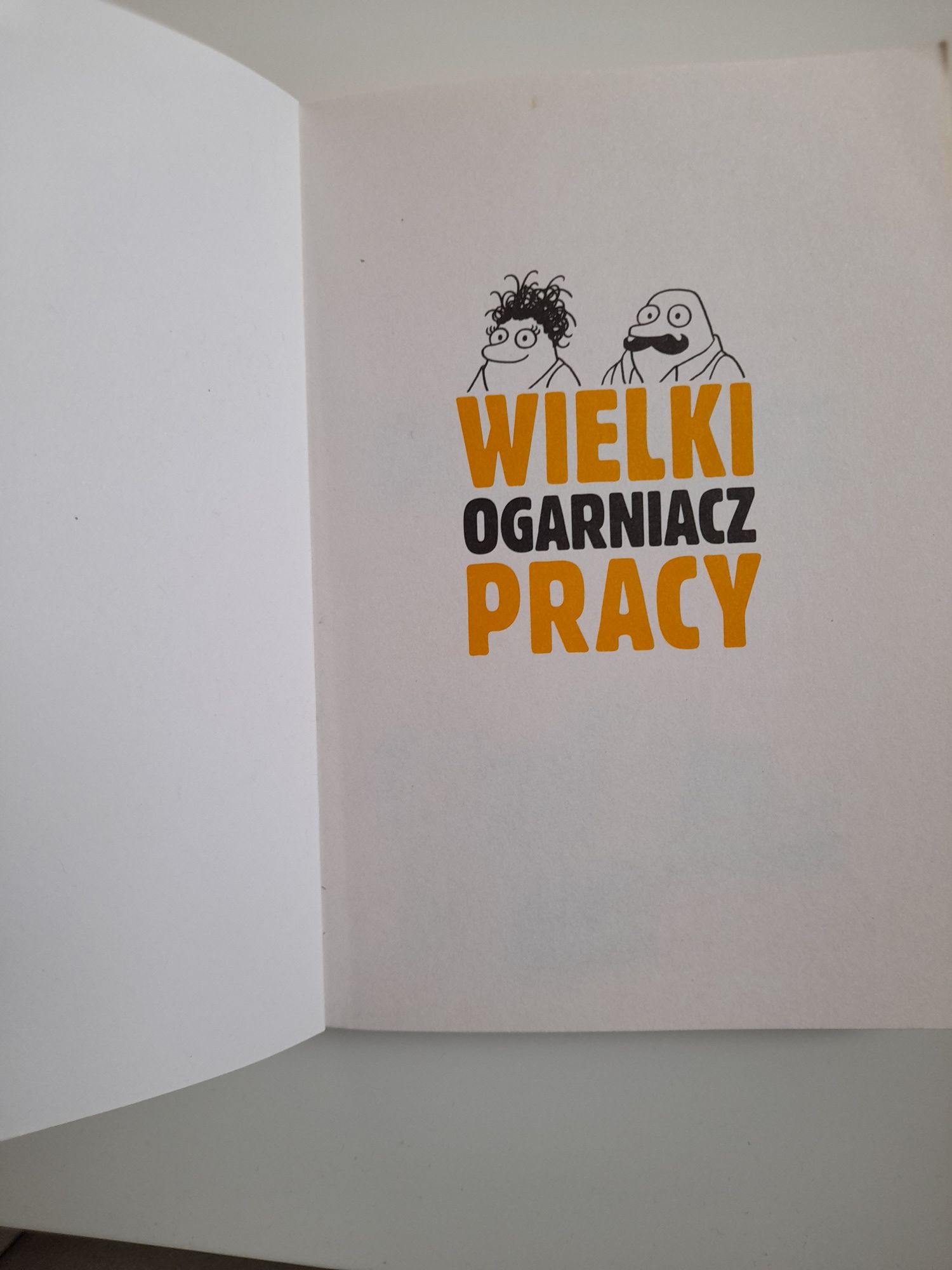 Książka  Wielki ogarniacz PRACY  Pani BUKOWA