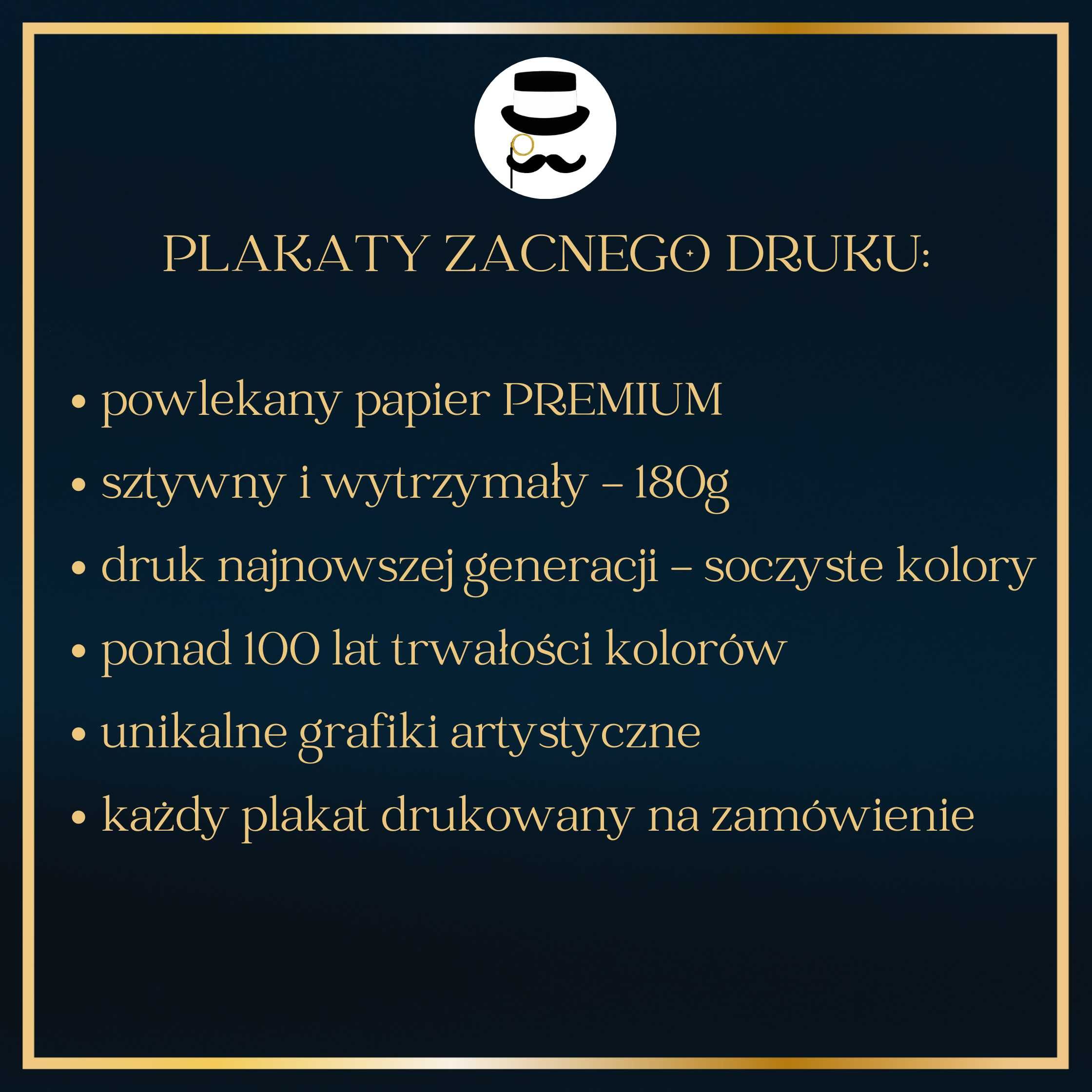 Plakat Premium Elegancki Czarny Kot do salonu - 30x40cm