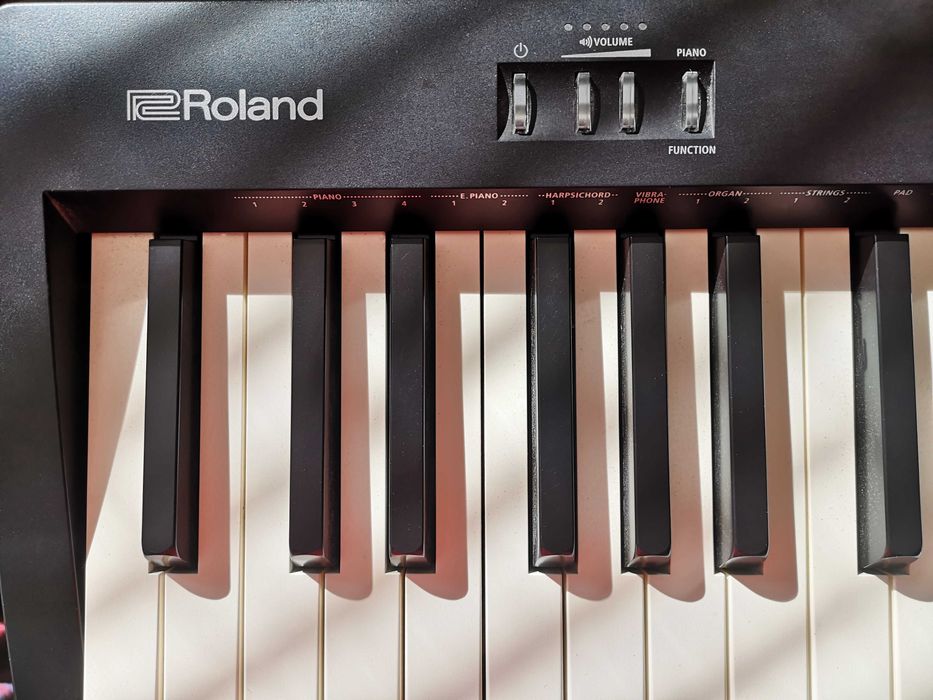 Цифровое пианино Roland FP-10