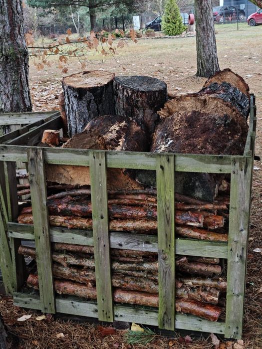 Drewno opałowe sosnowe