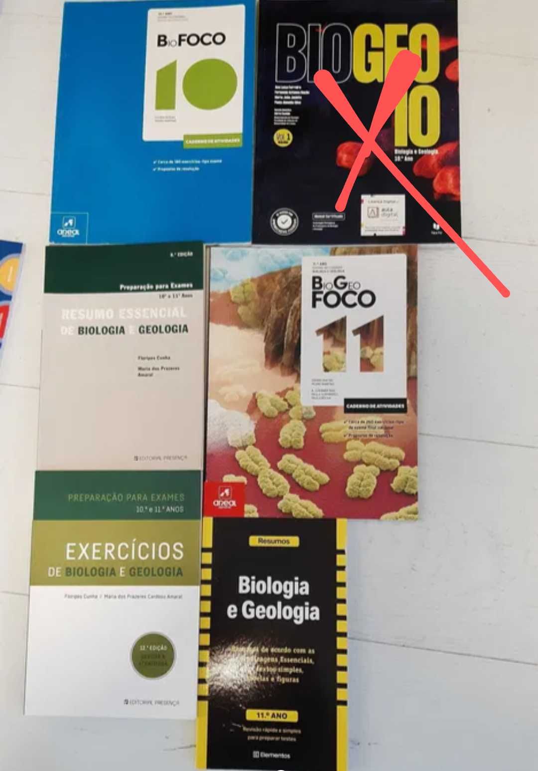 Livros escolares 10/ 11 ano biologia/geologia e Fisica/ Quimica - 2022