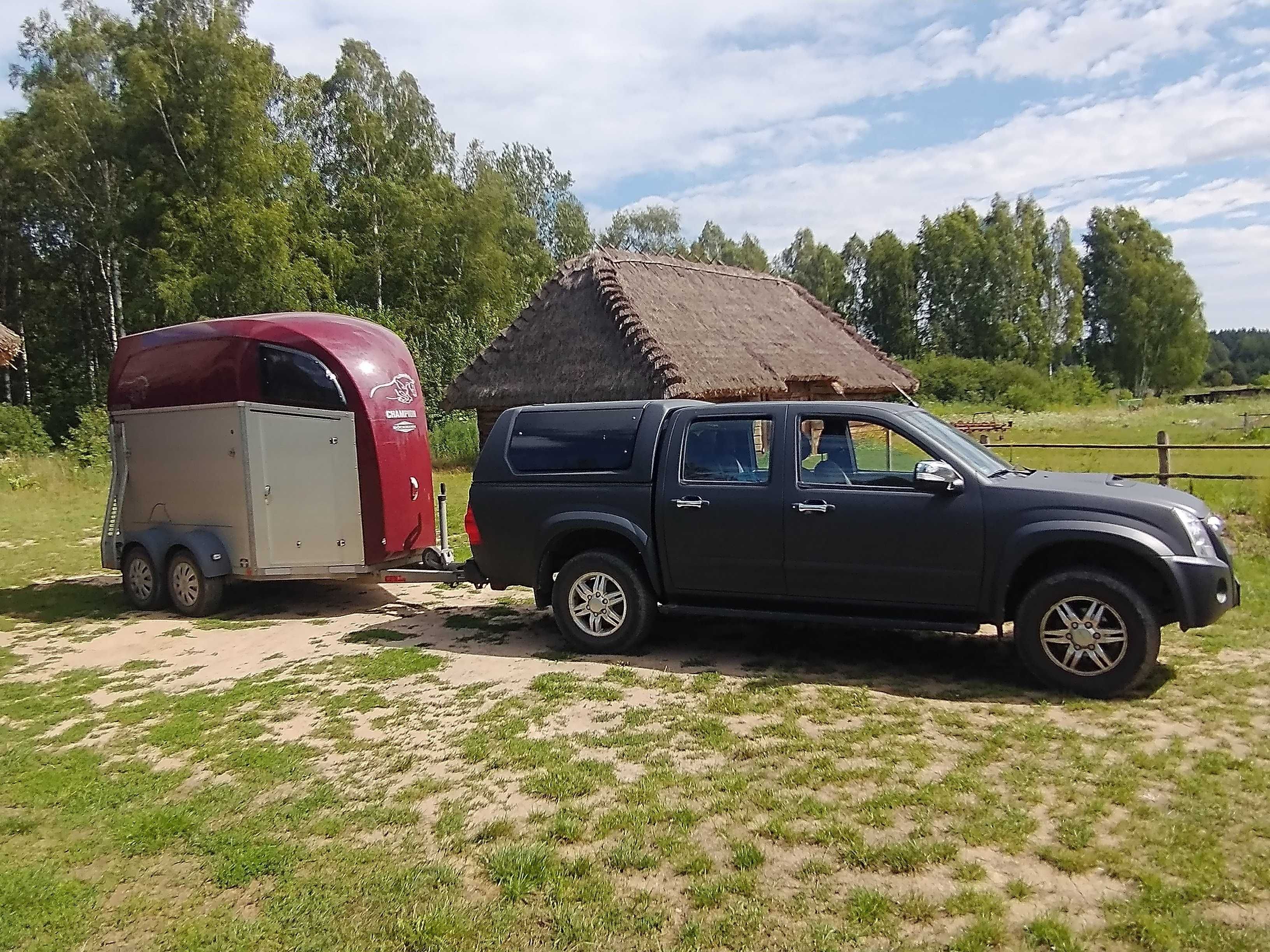 Transport koni, przewóz koni Bockmann Champion - cała Polska