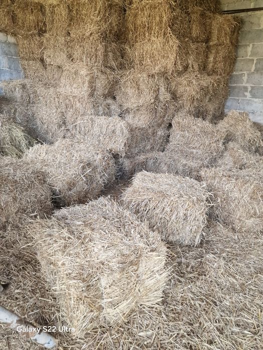 Sloma że stodoly / kostka /słoma /siano