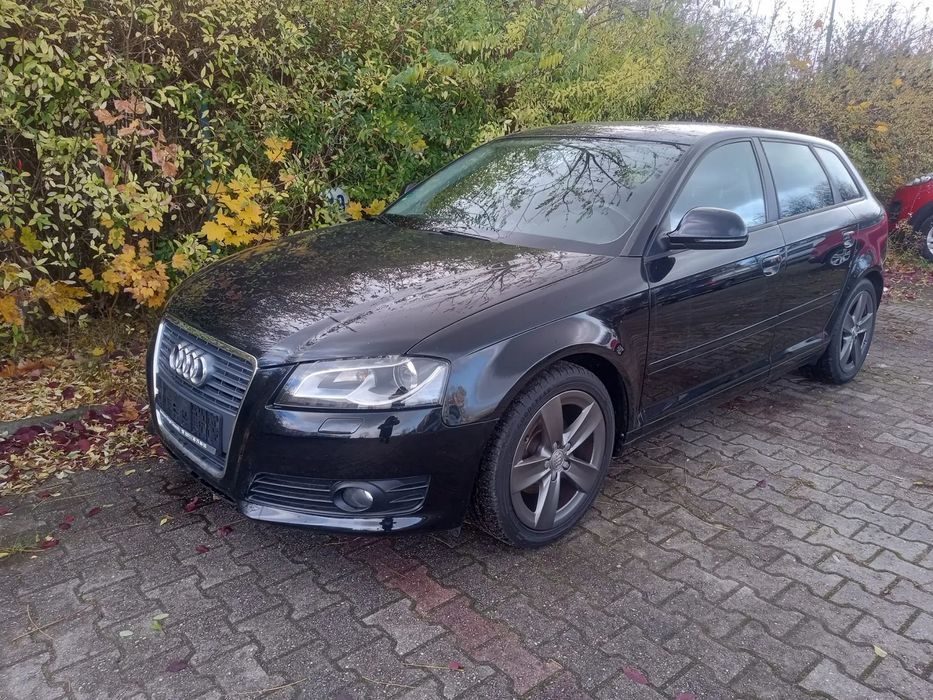 Audi A3 Sportback Piękna 1,6 MPI Benzyna 5Drzwi Wzór Stan Xenon Ledy Serwis