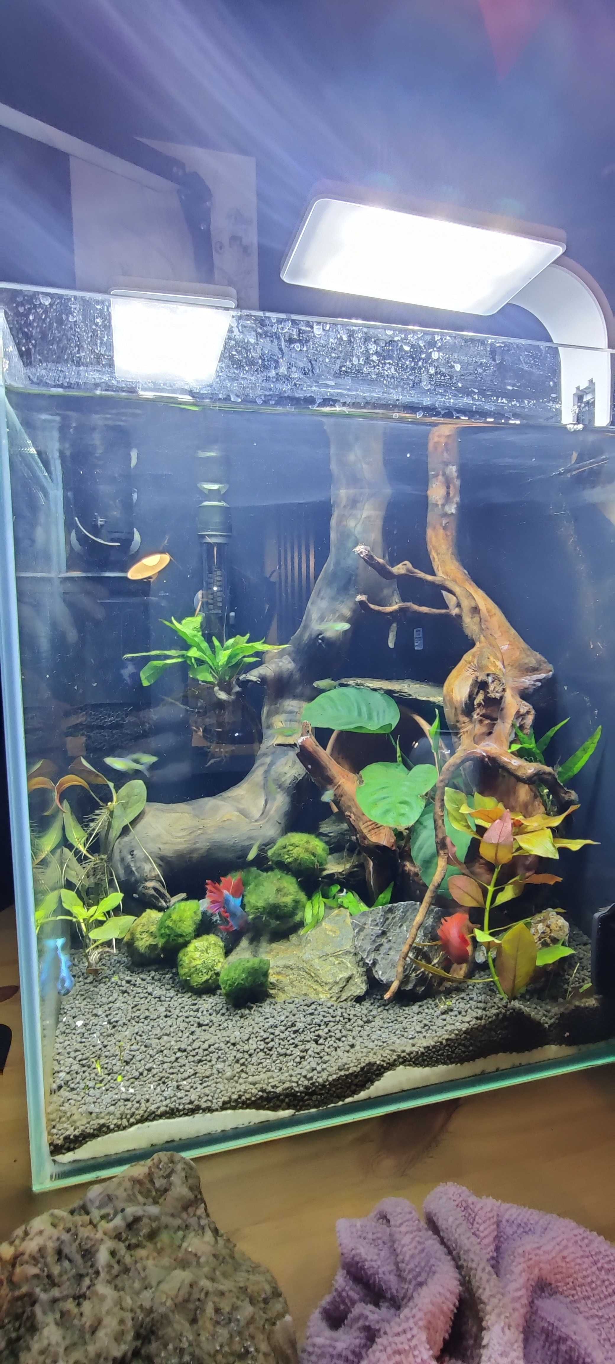 Akwarium 49l + filtr, grzałka, lampy led i więcej