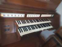 Organy cyfrowe Viscount Domus 1132