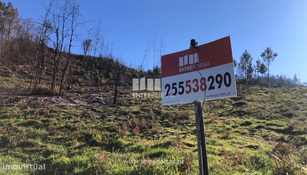 Venda Terreno, Ancede, Baião