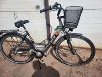 Rower Alu-Rex, rower damski