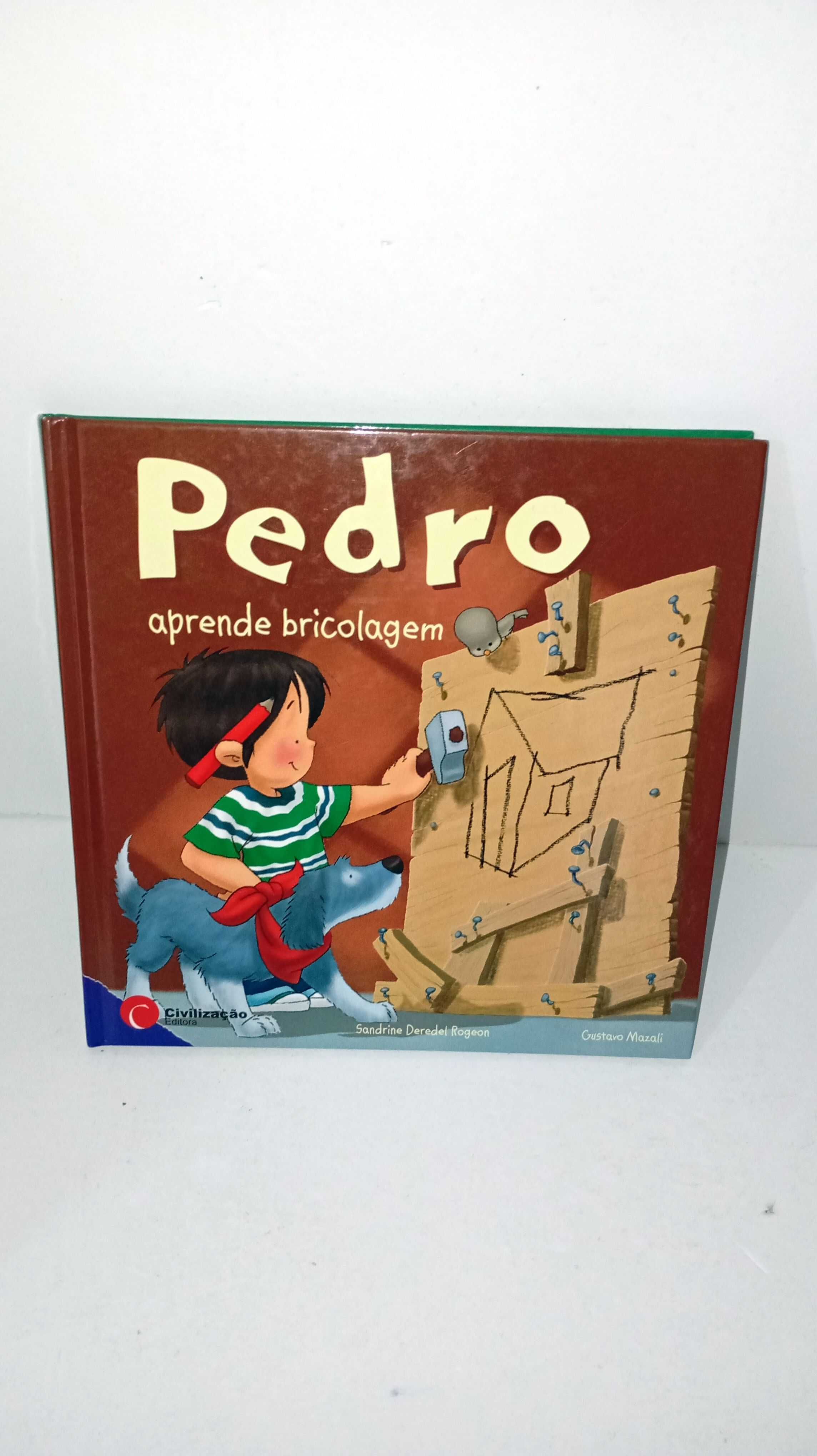 Pedro aprende bricolagem