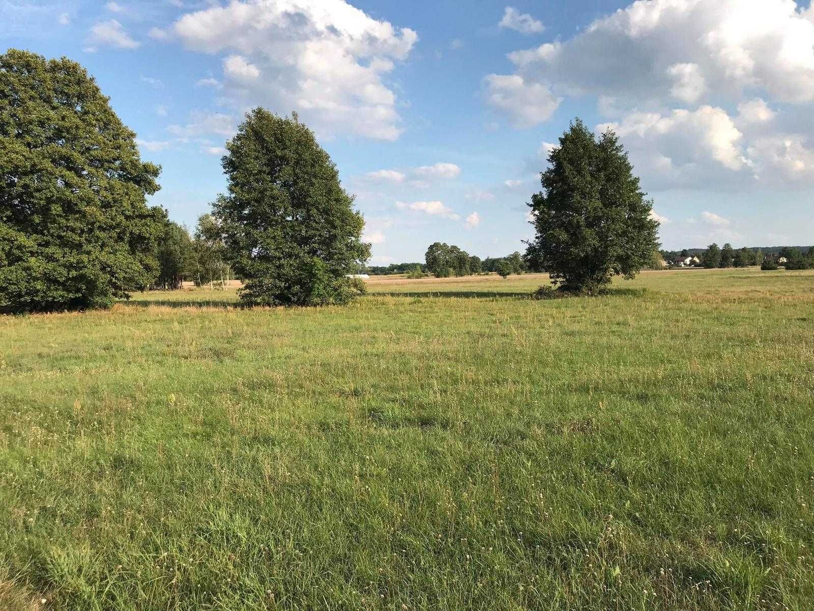 Sprzedam Działkę budowlaną w Trzęśniewie Małym, gmina Kościele