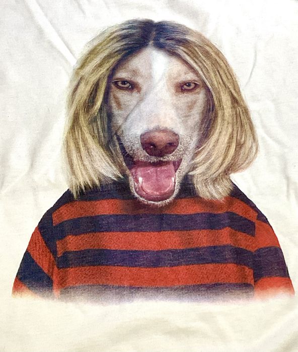 T shirt zpet Rocks da Green Coast