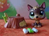Littlest Pet Shop, LPS - figurka pies Owczarek #2137 HASBRO