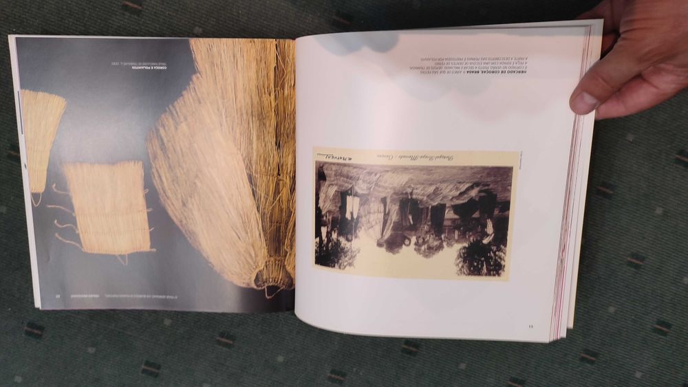 Trajes Regionais Gosto Popular, cores e formas - Cristina L. Duarte