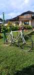Scott Speedster 20 XL 2014