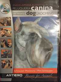 Schnauzer Miniatura grooming płyta DVD