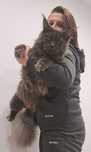 Reproduktor Maine Coon