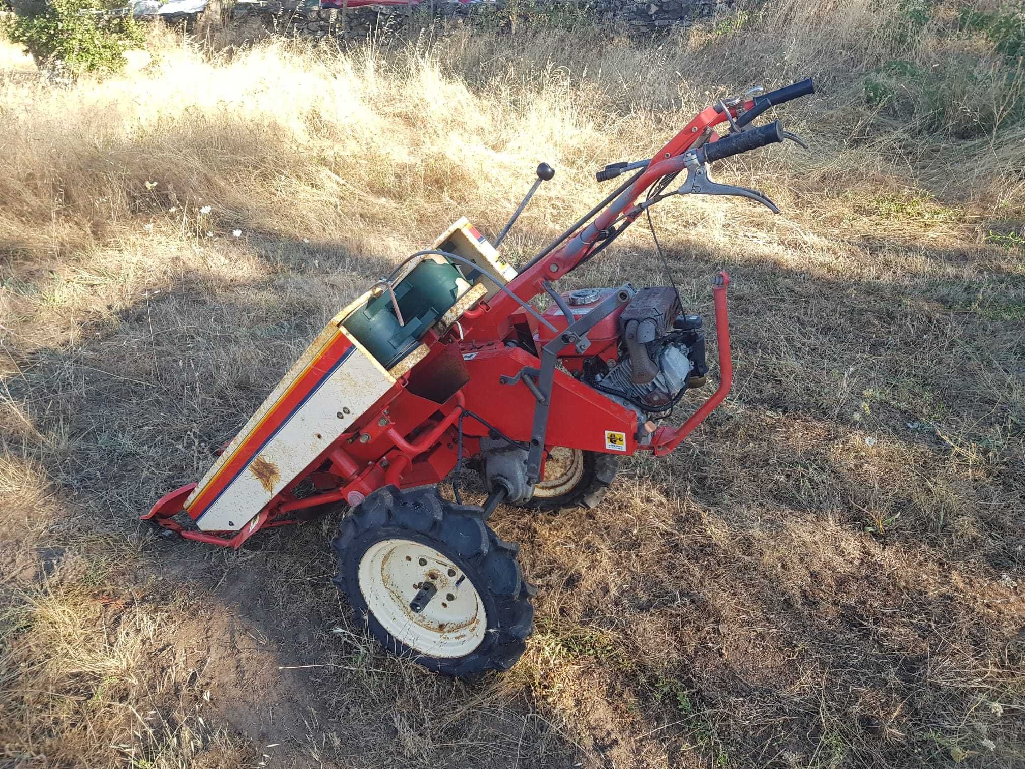 Máquina de apanhar feijão / Colhedora de feijão Yanmar YBR450 Japonesa