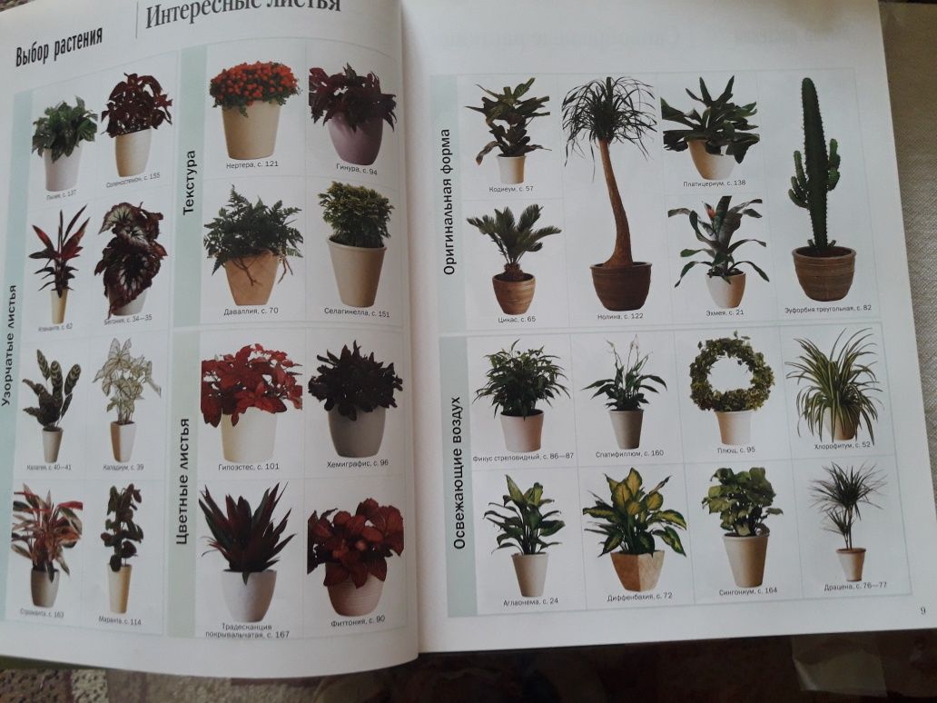 Продам энциклопедию комнатных растений