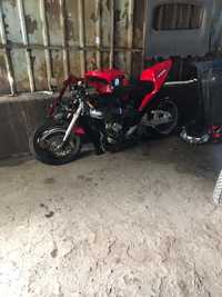 cbr954 acidentada