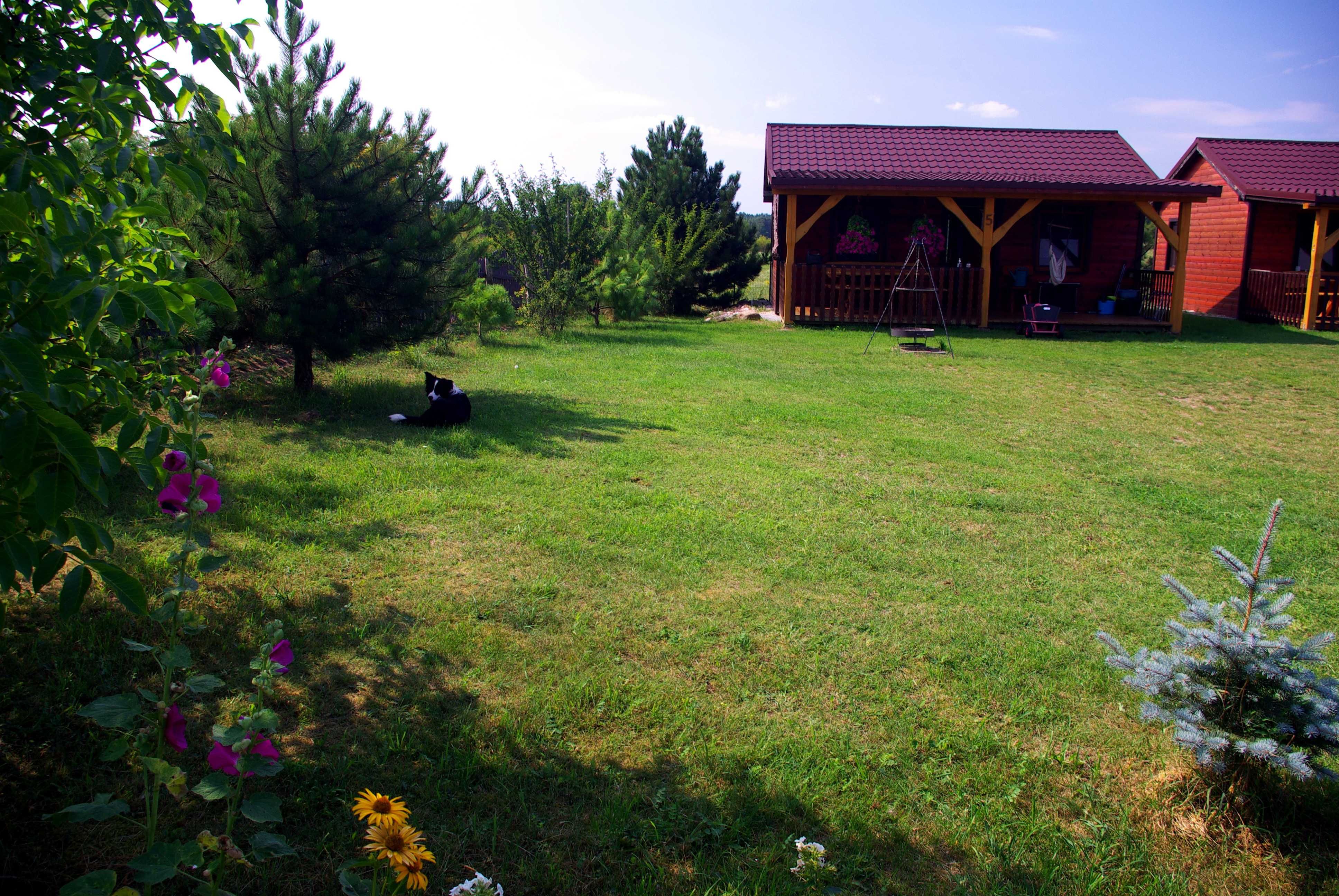 Agroturystyka Pod Bzami Domek Domki Nocleg Wczasy Mikołajki Mazury