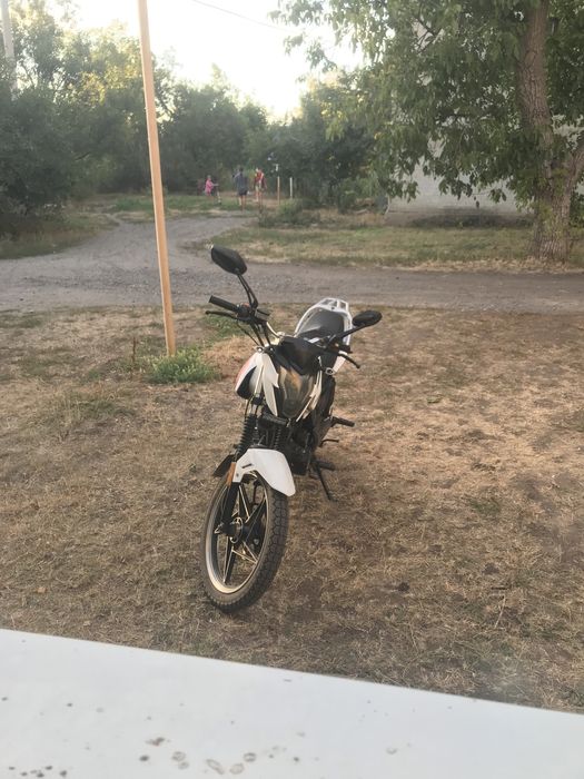 продам мустанг мт 200 регион