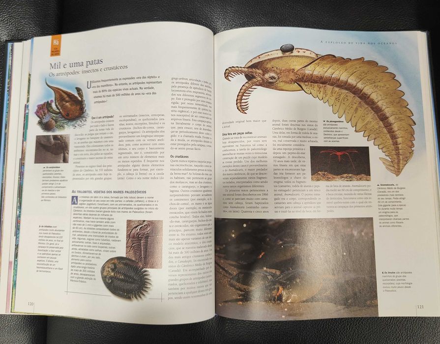 A Fabulosa História da Terra