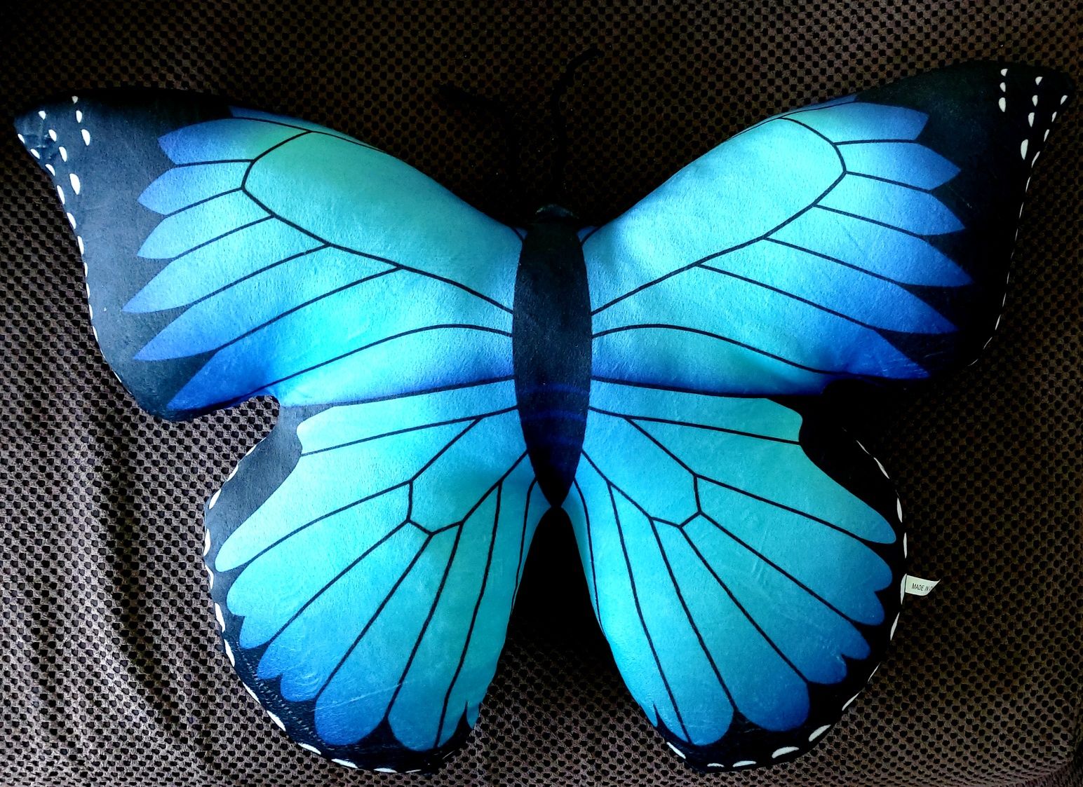 poduszka motyl niebieski