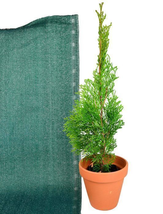 Osłona na Płot Ogrodzenie Zielona 1,5x10m Siatka Cieniująca 220g tkana