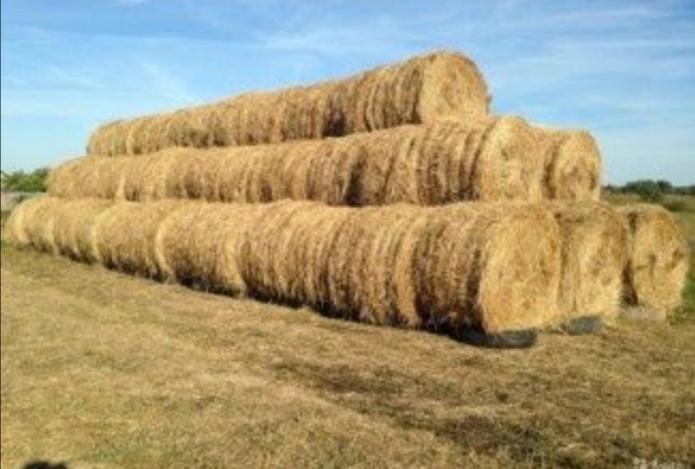 Продам сіно в тюках