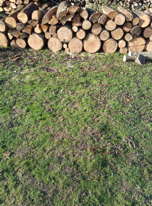 Sprzedam drewno opałowe