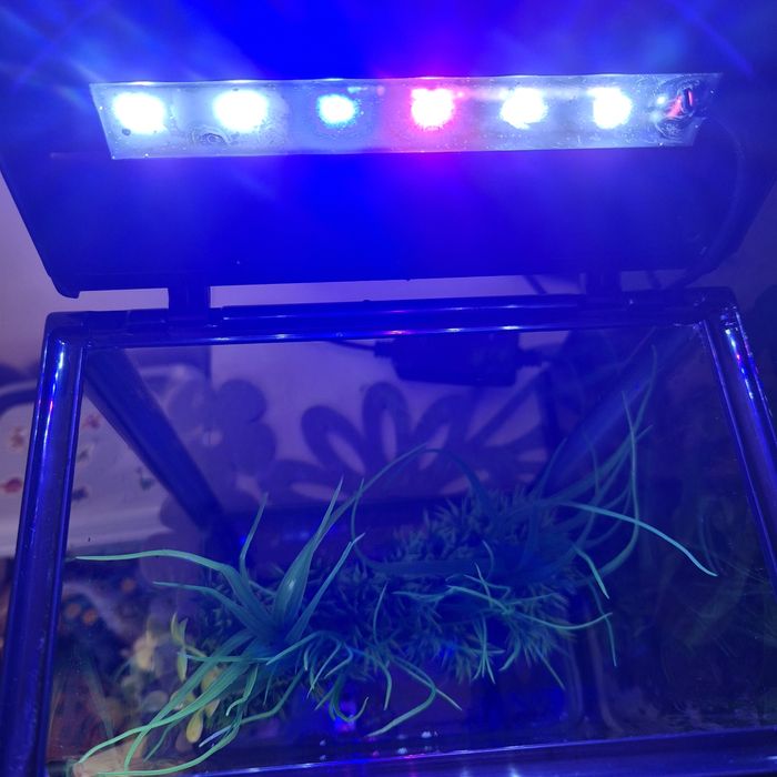 Akwarium 3l oświetlenie led