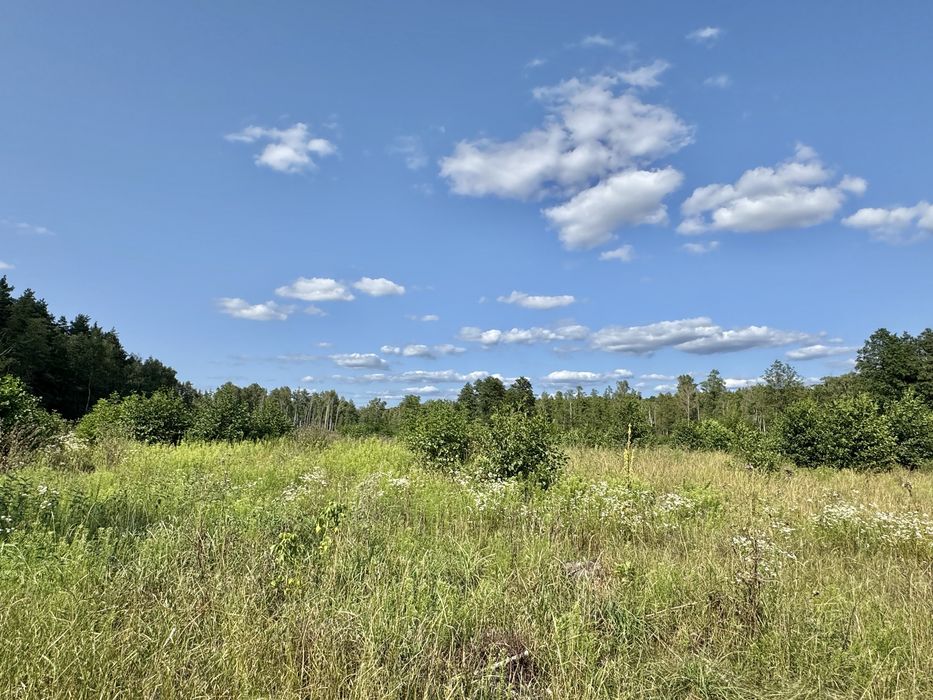 Продам фасадну земельну ділянку 3,3 Га!