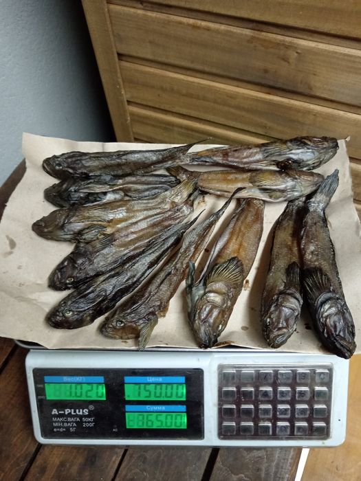 Риба Власного виробництва