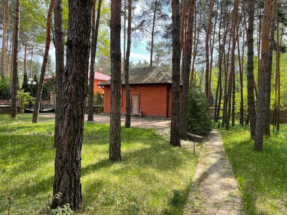 Конча Заспа /Козин / Сосновий Бір / Еліт  / найкраща ділянка 25 соток