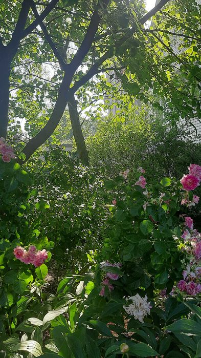 СРОЧНАЯ ПРОДАЖА. Дом 2 этажа, цокольный, Зеленый, Шевченковский