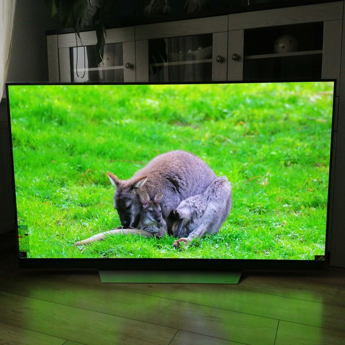 LG OLED 65E7V czytaj opis