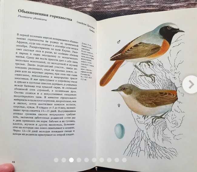 Иржи Феликс. Птицы садов, парков и полей