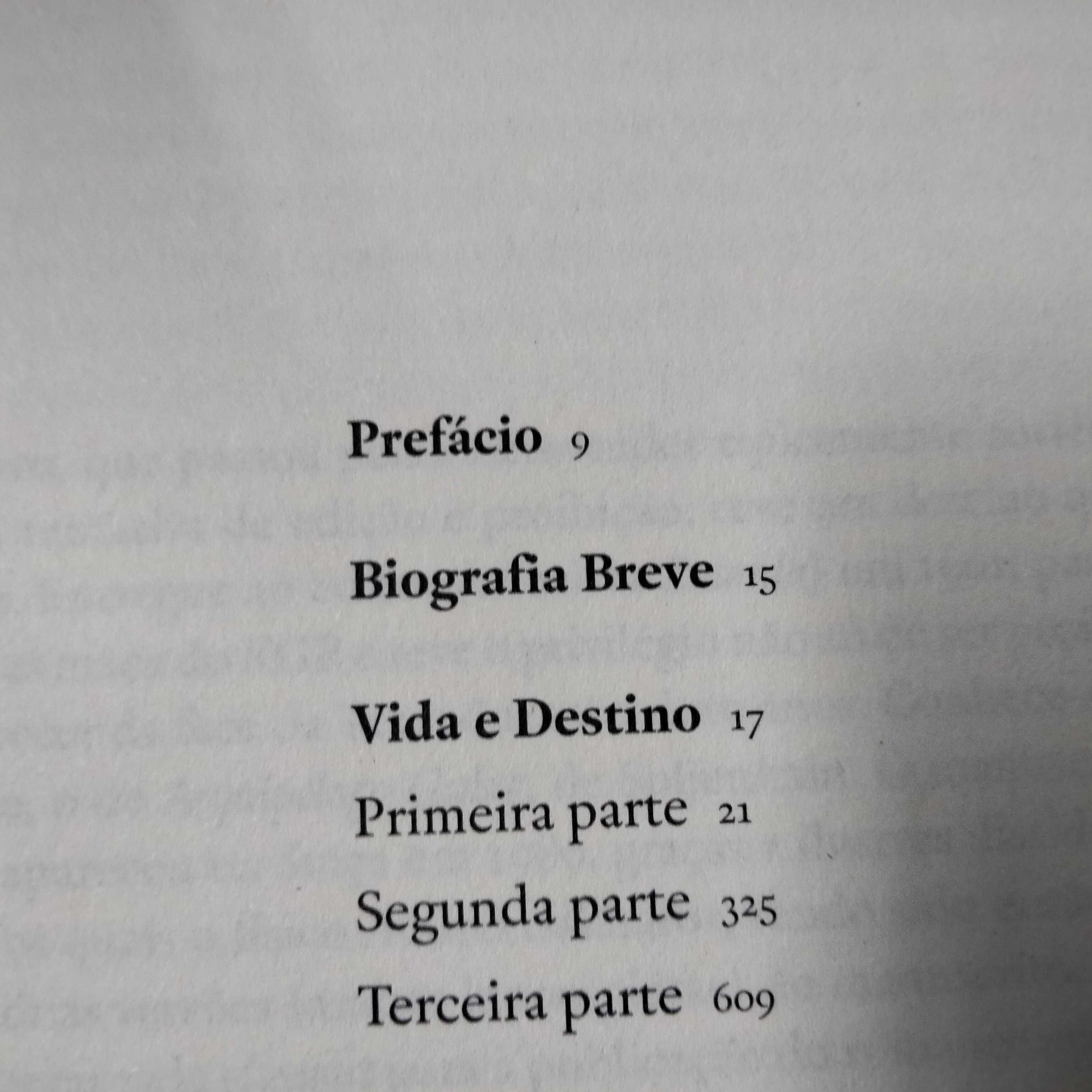 Vida e Destino - Vassili Grossman