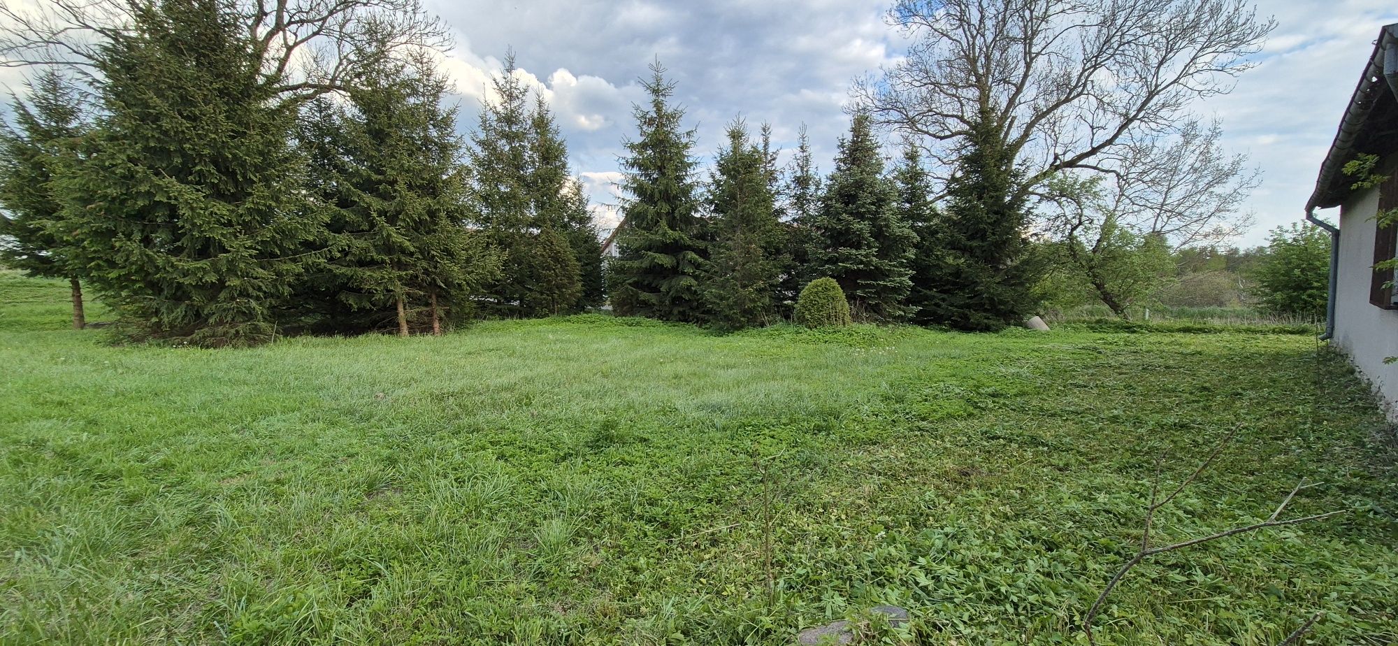 Nieruchomość Miejska Wola, Warmia