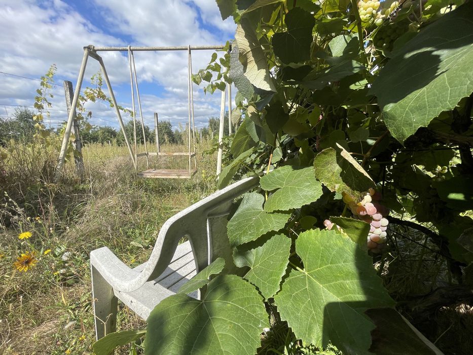 Продам будинок з басейном і підвалом на березі річки