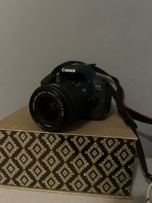 Idealny aparat Canon EOS 700D świetny dla początkujących