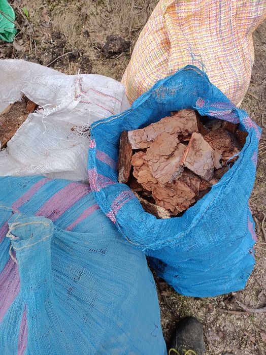 Kora sosnowa w workach