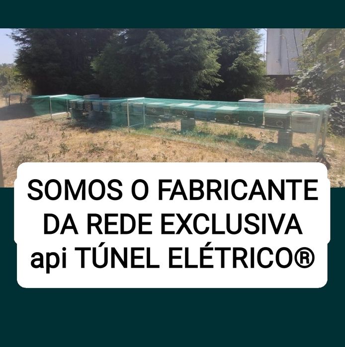 REDE ORIGINAL TÚNEL ELÉTRICO harpas anti-vespas