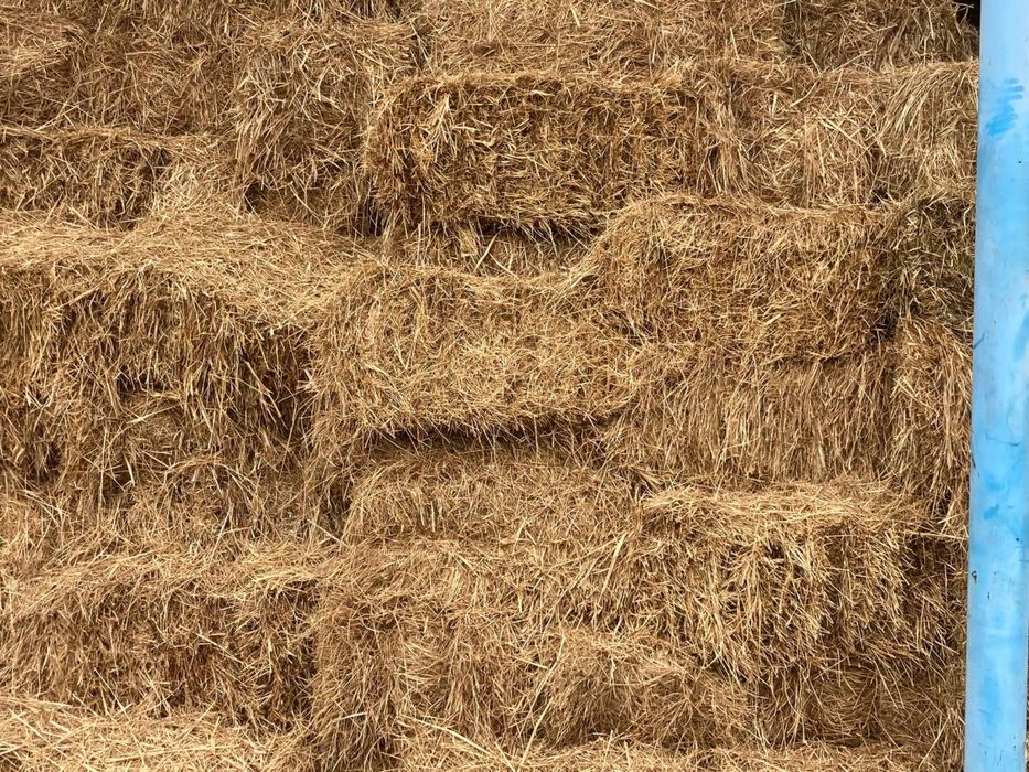 Продам тюки соломи