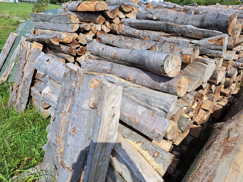 Drewno buk transport gratis kominkowe, opałowe, opał