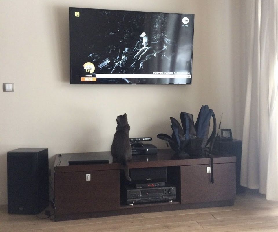 Szafka pod telewizor Bydgoska febryka mebli solidna dornir