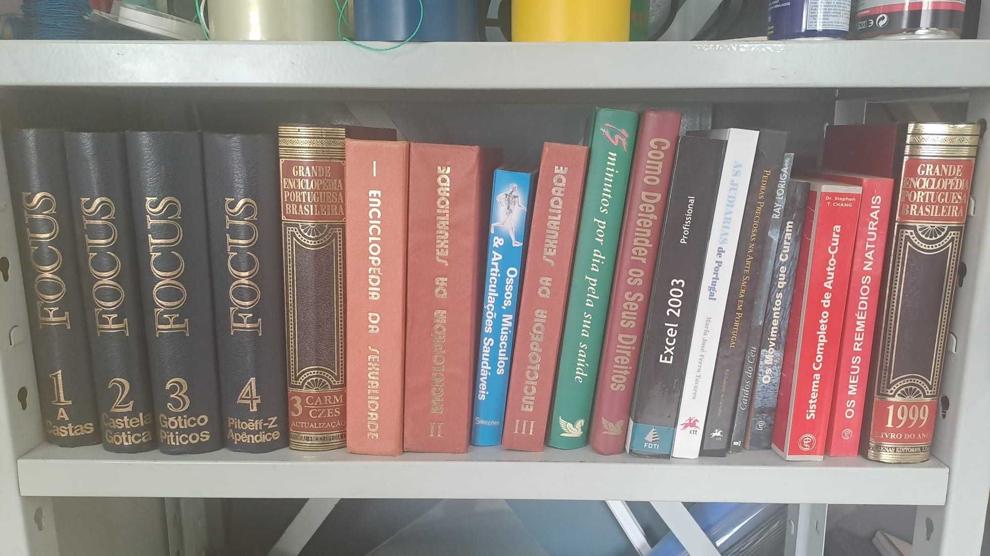 Enciclopédias e Livros Variados - Lote de 140 livros aprox.